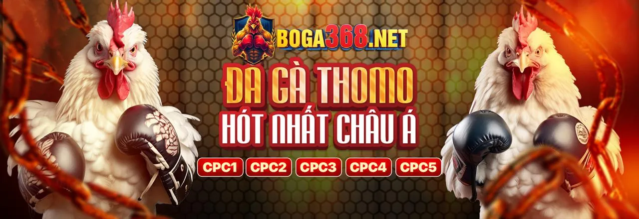 Banner khuyến mãi đá gà LT88